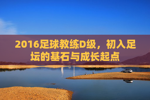 2016足球教练D级,初入足坛的基石与成长起点