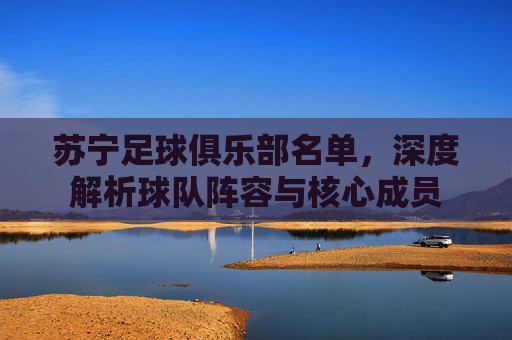 苏宁足球俱乐部名单,深度解析球队阵容与核心成员