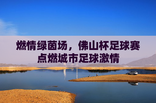 燃情绿茵场，佛山杯足球赛点燃城市足球激情