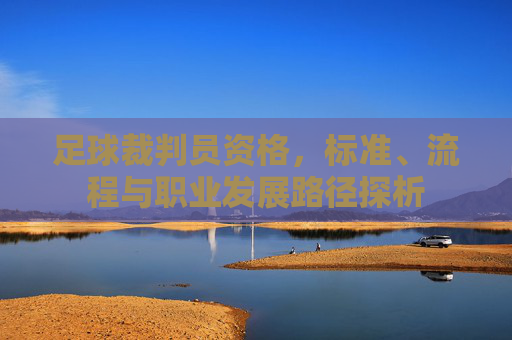 足球裁判员资格,标准、流程与职业发展路径探析