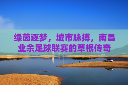 绿茵逐梦,城市脉搏,南昌业余足球联赛的草根传奇