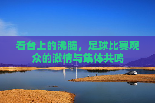看台上的沸腾,足球比赛观众的激情与集体共鸣