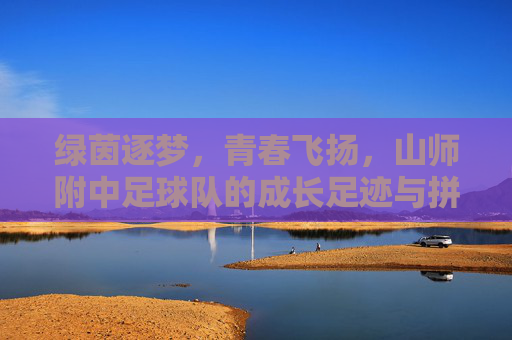 绿茵逐梦，青春飞扬，山师附中足球队的成长足迹与拼搏精神