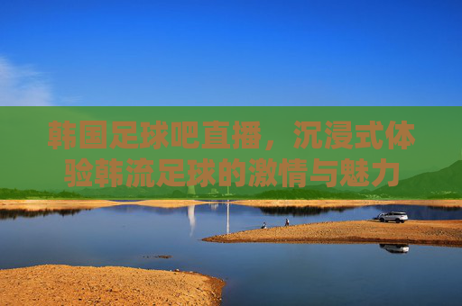 韩国足球吧直播,沉浸式体验韩流足球的激情与魅力