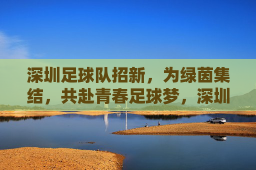 深圳足球队招新，为绿茵集结，共赴青春足球梦，深圳足球队招新，为绿茵集结，共赴青春足球梦