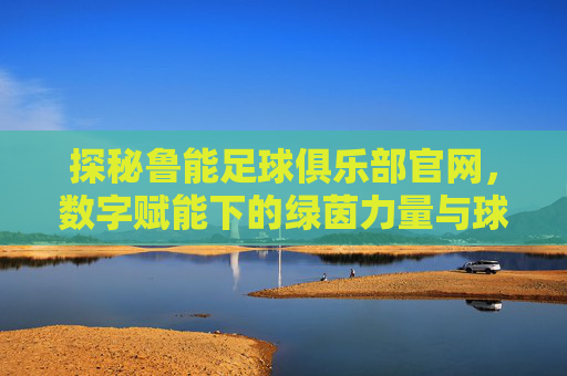 探秘鲁能足球俱乐部官网,数字赋能下的绿茵力量与球迷连接