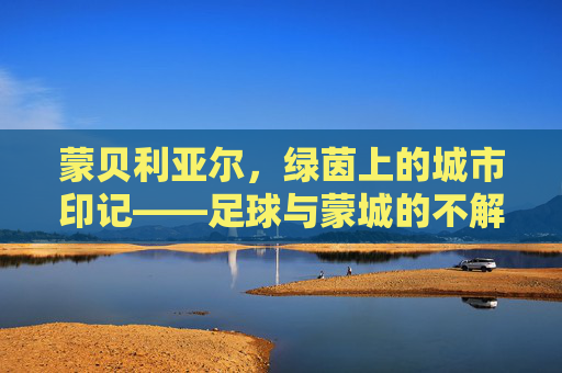 蒙贝利亚尔，绿茵上的城市印记——足球与蒙城的不解之缘，蒙贝利亚尔，绿茵上的城市印记——足球与蒙城的不解之缘
