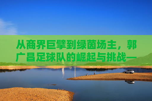 从商界巨擘到绿茵场主,郭广昌足球队的崛起与挑战——商业大佬的足球新篇