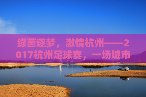 绿茵逐梦，激情杭州——2017杭州足球赛，一场城市与足球的激情对话
