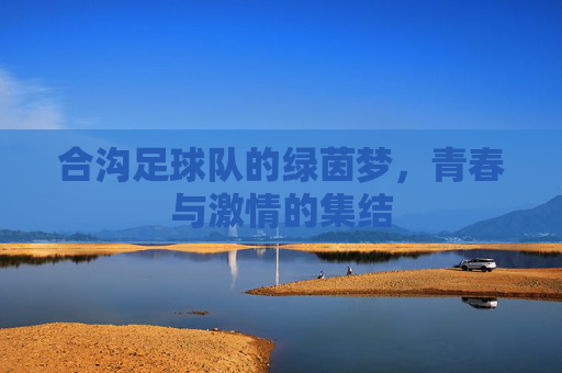 合沟足球队的绿茵梦,青春与激情的集结