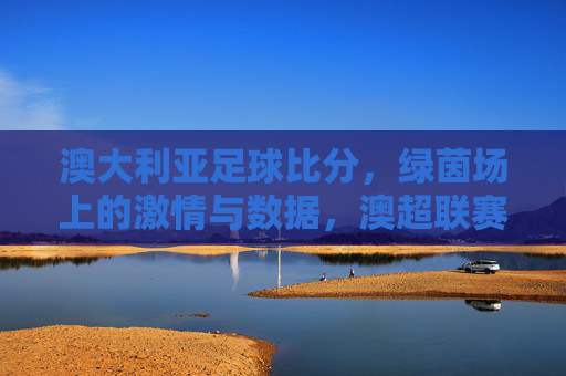 澳大利亚足球比分,绿茵场上的激情与数据,澳超联赛精彩解析