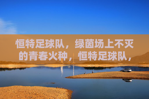 恒特足球队,绿茵场上不灭的青春火种,恒特足球队,绿茵场上不灭的青春火种
