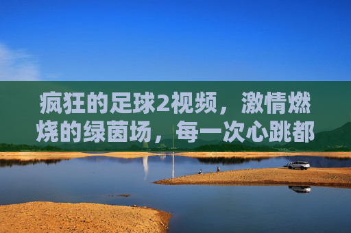 疯狂的足球2视频，激情燃烧的绿茵场，每一次心跳都是足球的共鸣