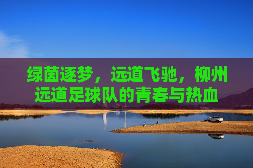 绿茵逐梦,远道飞驰,柳州远道足球队的青春与热血