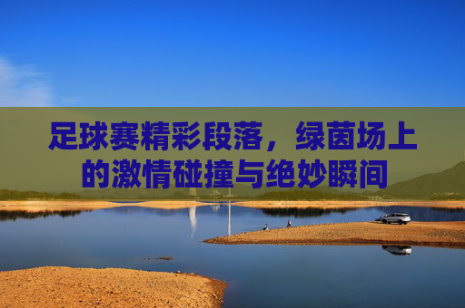 足球赛精彩段落,绿茵场上的激情碰撞与绝妙瞬间