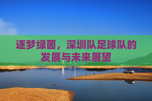 逐梦绿茵，深圳队足球队的发展与未来展望
