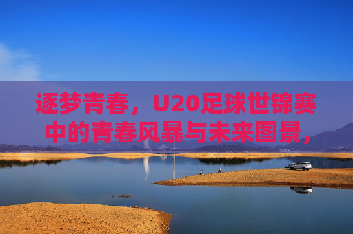 逐梦青春，U20足球世锦赛中的青春风暴与未来图景，逐梦青春，U20足球世锦赛中的青春风暴与未来图景