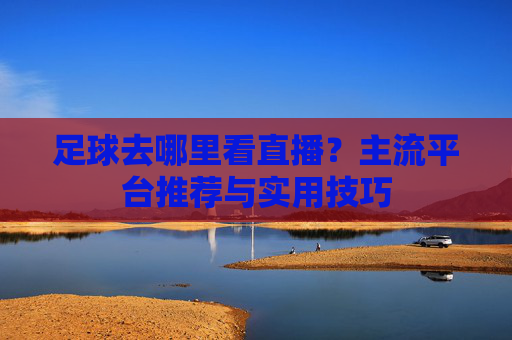 足球去哪里看直播?主流平台推荐与实用技巧