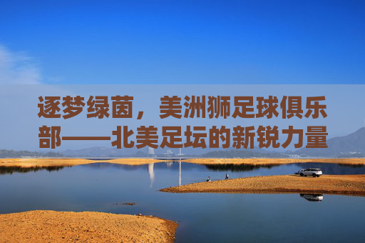 逐梦绿茵,美洲狮足球俱乐部——北美足坛的新锐力量与青春活力绽放