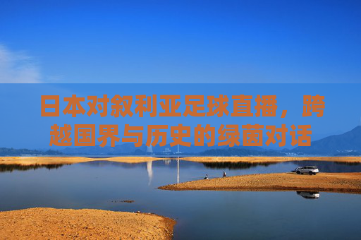 日本对叙利亚足球直播，跨越国界与历史的绿茵对话