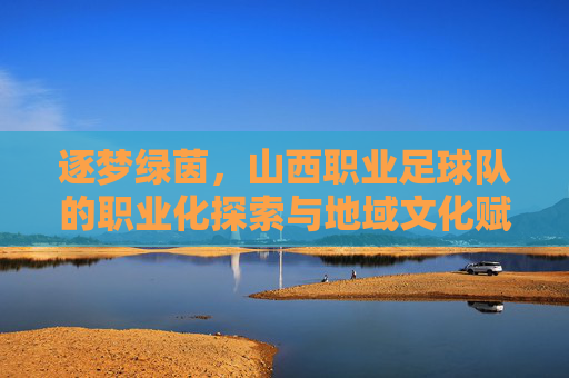 逐梦绿茵,山西职业足球队的职业化探索与地域文化赋能