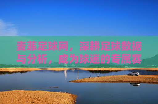 麦菲足球网,深耕足球数据与分析,成为球迷的专属赛事智库