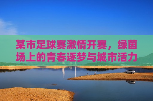 某市足球赛激情开赛，绿茵场上的青春逐梦与城市活力，某市足球赛激情开赛，绿茵场上的青春逐梦与城市活力