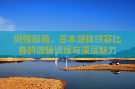 燃情绿茵,日本足球联赛比赛的激情演绎与深层魅力