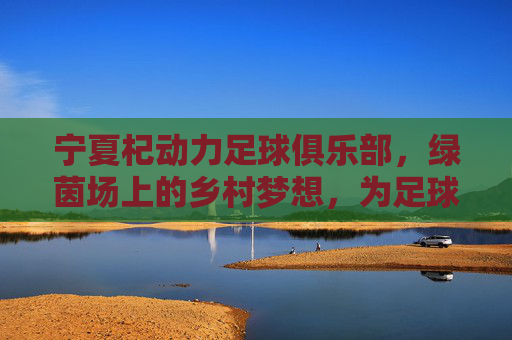 宁夏杞动力足球俱乐部,绿茵场上的乡村梦想,为足球注入杞力