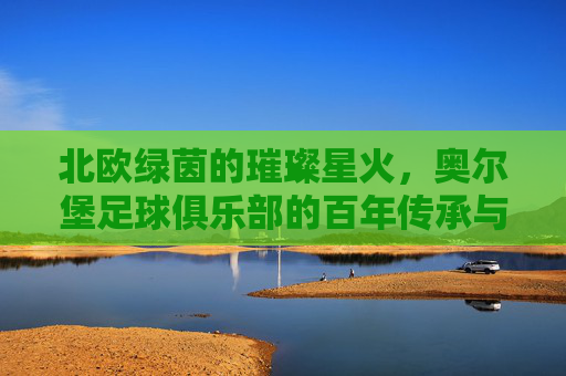 北欧绿茵的璀璨星火，奥尔堡足球俱乐部的百年传承与时代印记