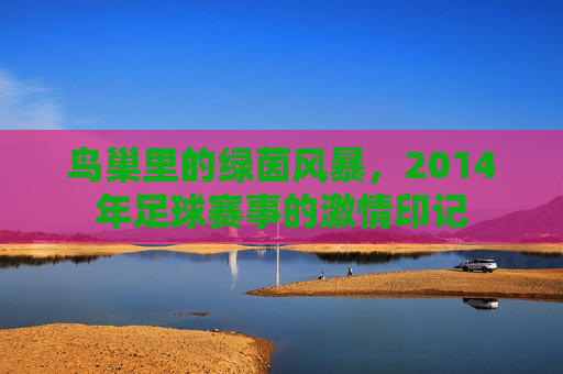 鸟巢里的绿茵风暴,2014年足球赛事的激情印记