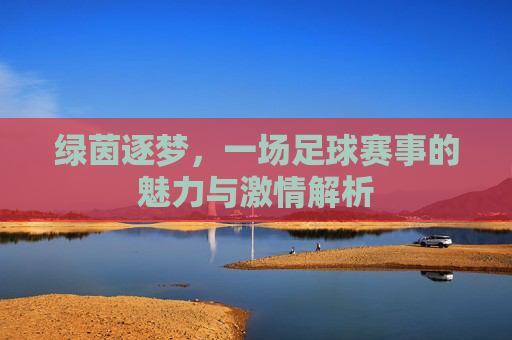 绿茵逐梦，一场足球赛事的魅力与激情解析
