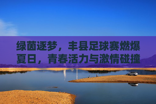 绿茵逐梦,丰县足球赛燃爆夏日,青春活力与激情碰撞