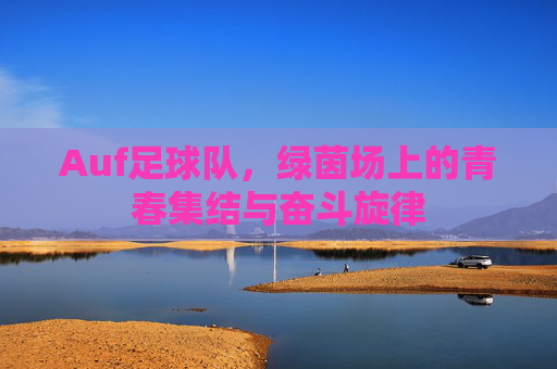 Auf足球队，绿茵场上的青春集结与奋斗旋律