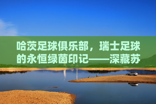 哈茨足球俱乐部，瑞士足球的永恒绿茵印记——深藏苏黎世湖畔的防守反击传奇