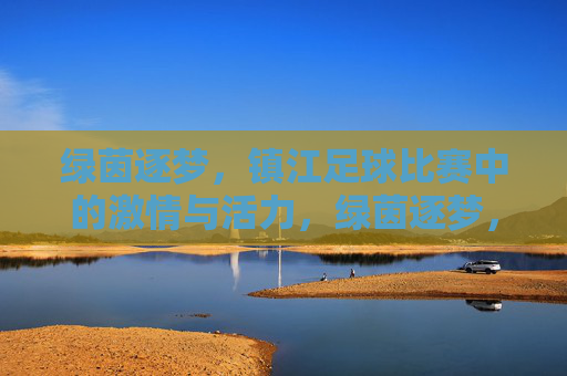 绿茵逐梦,镇江足球比赛中的激情与活力,绿茵逐梦,镇江足球比赛中的激情与活力