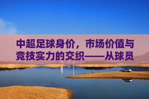 中超足球身价,市场价值与竞技实力的交织——从球员转会到联赛格局的深层影响,中超足球,身价、市场价值与竞技实力的交织——转会与联赛格局的深层影响