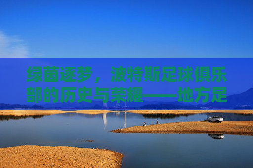 绿茵逐梦,波特斯足球俱乐部的历史与荣耀——地方足球的璀璨明珠与社区精神典范