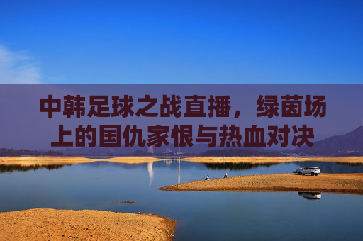 中韩足球之战直播，绿茵场上的国仇家恨与热血对决