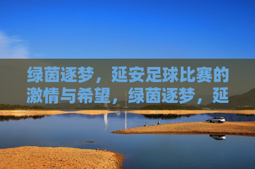 绿茵逐梦,延安足球比赛的激情与希望,绿茵逐梦,延安足球比赛的激情与希望