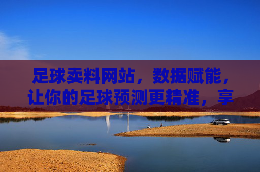 足球卖料网站,数据赋能,让你的足球预测更精准,享受比赛乐趣