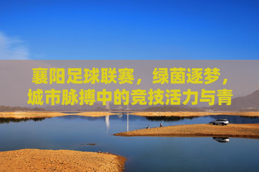 襄阳足球联赛,绿茵逐梦,城市脉搏中的竞技活力与青春传承
