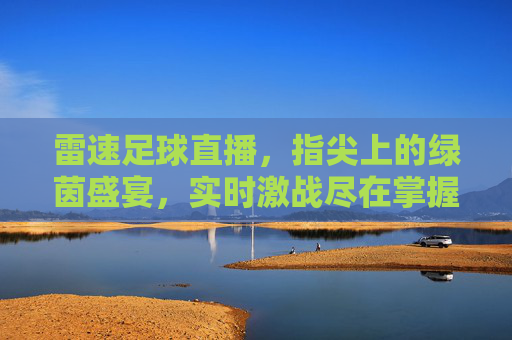 雷速足球直播,指尖上的绿茵盛宴,实时激战尽在掌握