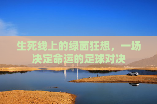 生死线上的绿茵狂想,一场决定命运的足球对决
