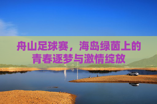 舟山足球赛，海岛绿茵上的青春逐梦与激情绽放