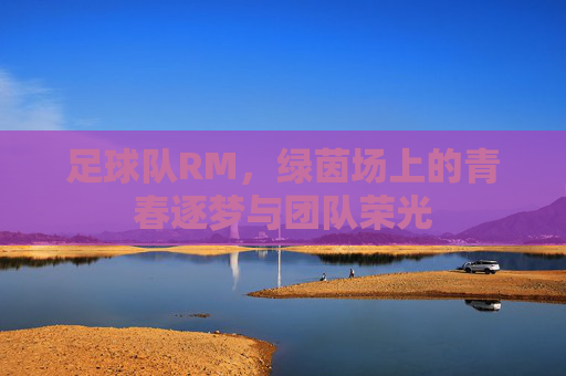 足球队RM,绿茵场上的青春逐梦与团队荣光