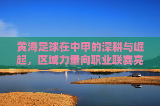 黄海足球在中甲的深耕与崛起,区域力量向职业联赛亮点的蜕变,黄海足球,中甲深耕崛起,区域力量铸就职业联赛亮点