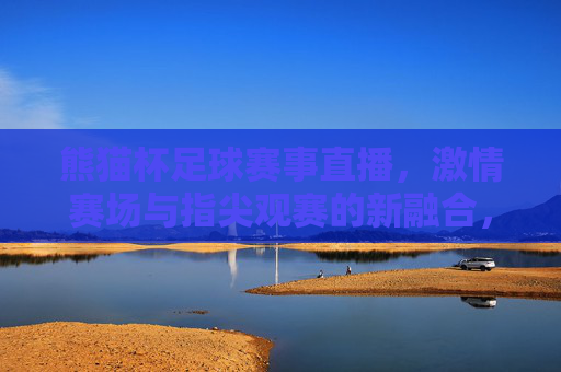 熊猫杯足球赛事直播,激情赛场与指尖观赛的新融合,熊猫杯足球赛事直播,激情赛场与指尖观赛的新融合