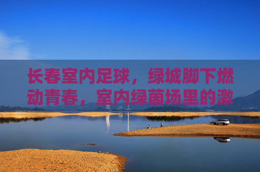 长春室内足球,绿城脚下燃动青春,室内绿茵场里的激情与梦想,长春室内足球,绿城脚下燃青春,绿茵场里的激情梦想