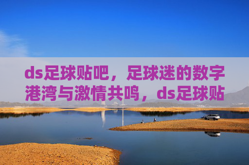 ds足球贴吧,足球迷的数字港湾与激情共鸣,ds足球贴吧,足球迷的数字港湾与激情共鸣